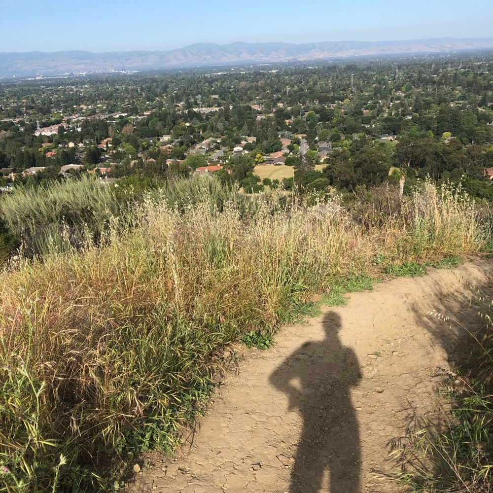 Meet your Posher, Kristy